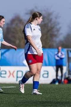 Bild 172 - F Hamburger SV 3 - Blau-Weiss 96 : Ergebnis: 5:1